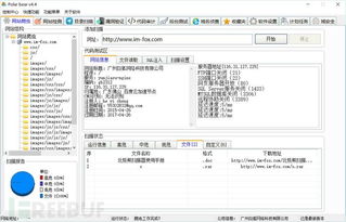 北極熊掃描器4.4企業版重磅發布，賦能企業網絡與信息安全建設新高度